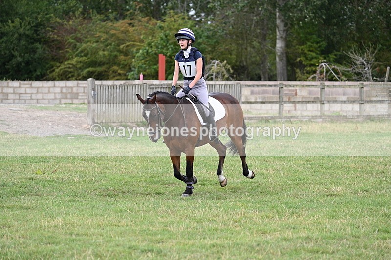 WJ7_4570 - All of 80cm