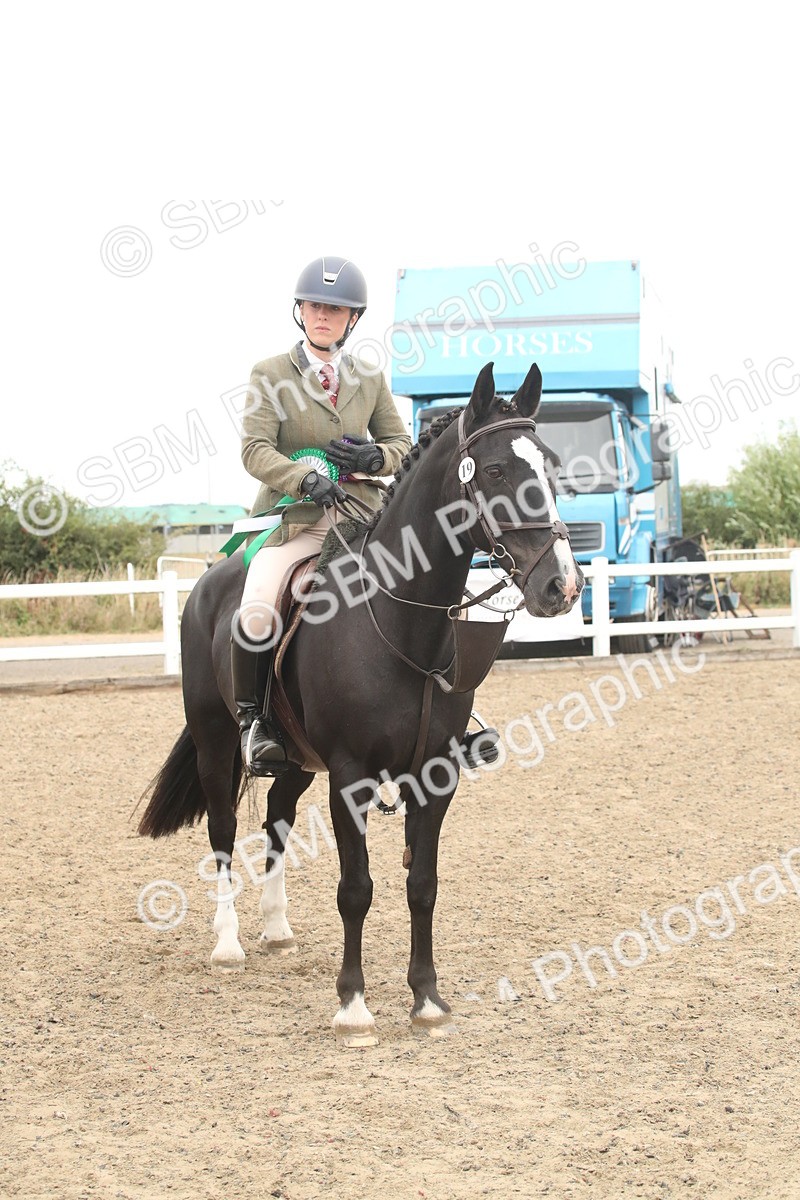 SBM_18332 - Class 509a - Working Veteran - 80cm (15-19)