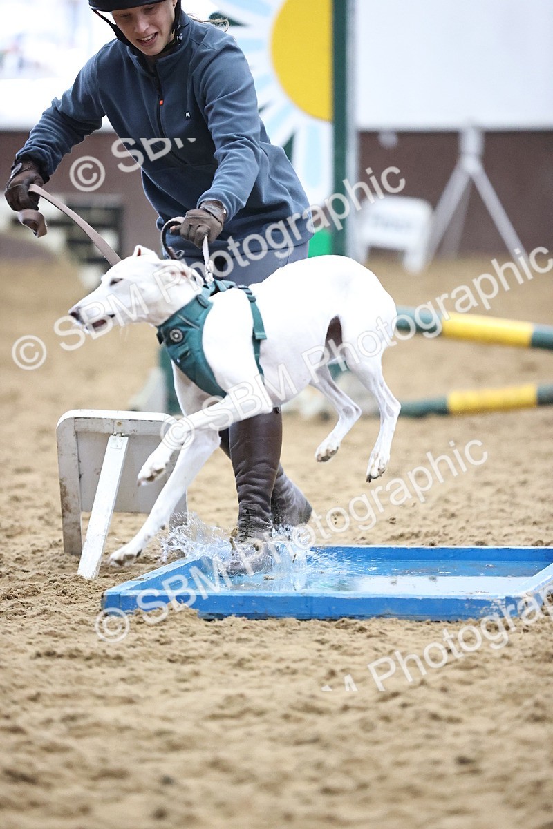 SBM_001327 - Class 3 - Horse & Hound 60cm