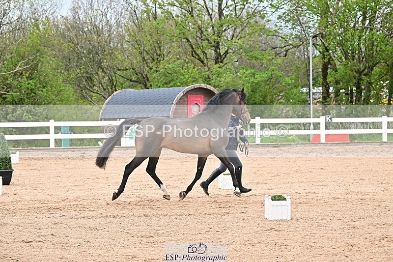 250423-122101-00242 - 12 to 1pm