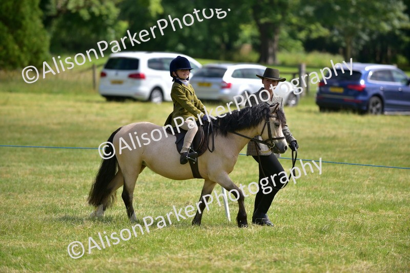 20260614-1115 - Class 11a - Lead Rein Pony (Unplaited)