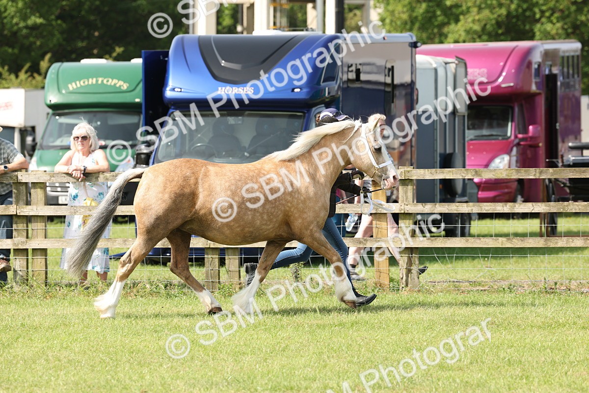 SBM_02053