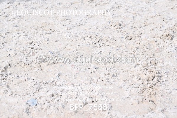 BPP_7588 - RING 1  (RIDDEN HORSES / IN HAND / VETERAN ETC)