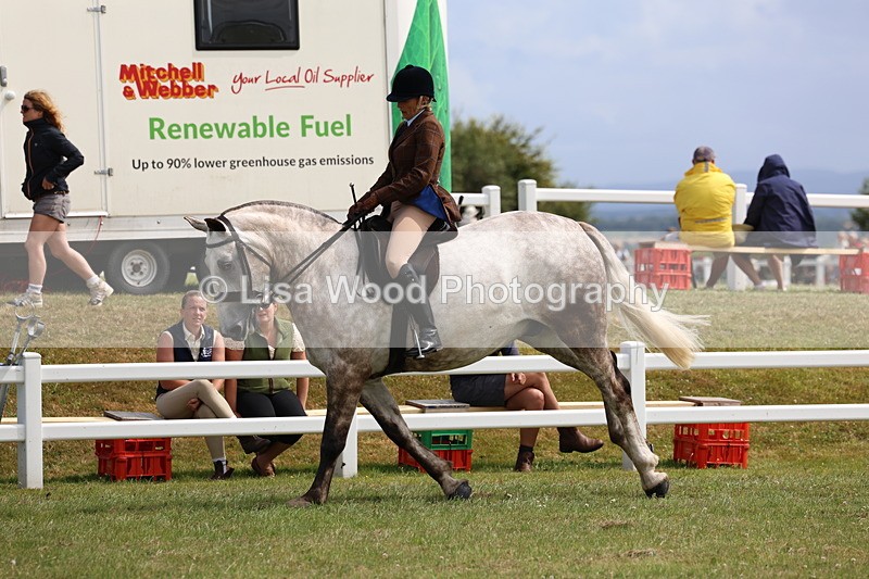 3E7A0237 - Class 6: Rising Star Maxi Cobs