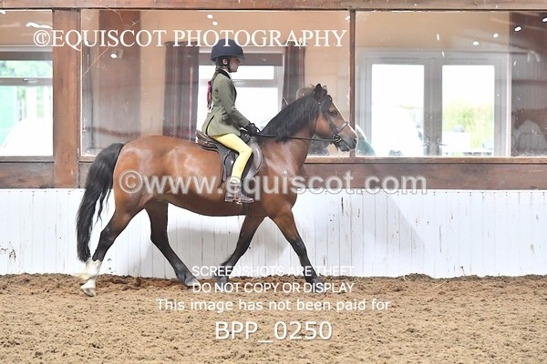 BPP_0250 - RING 1