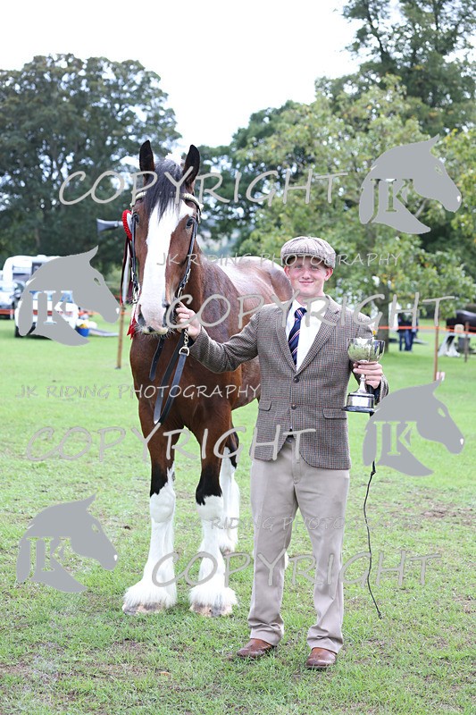 APP_3398 - Class 5 In Hand Championship