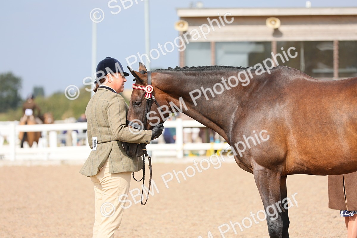 SBM_15924 - Class 313 IH Retired Racehorse