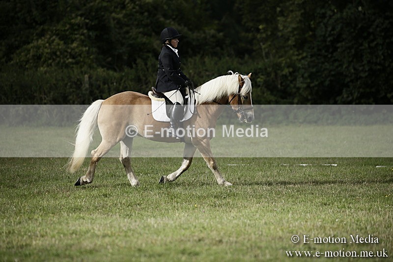 BVR090918 53 - BVRC Dressage and Show Jumping 09/09/18