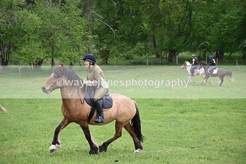 WJ6_3364 - A camera