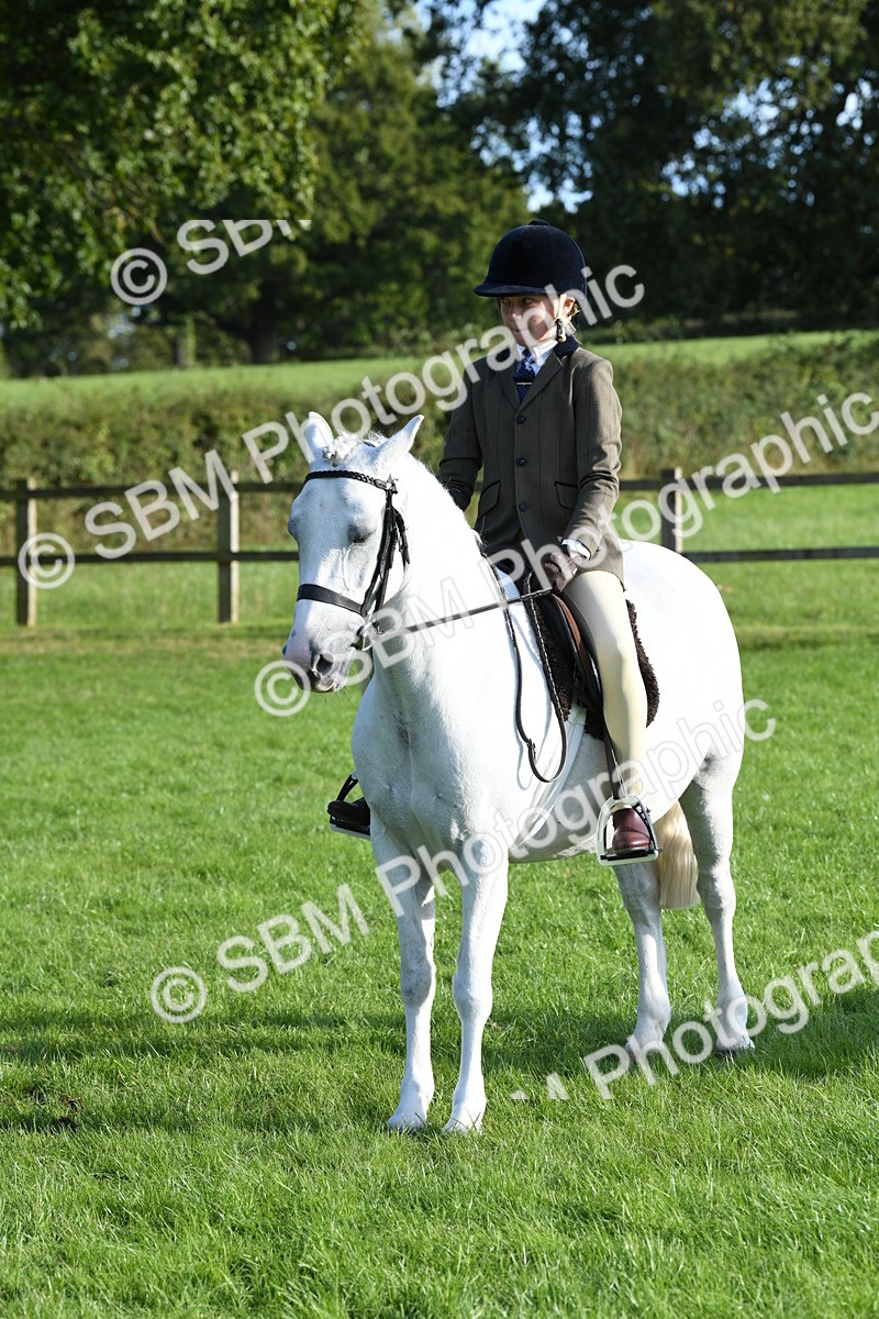 SBM_52421 - S22 - 1st Ridden Show & Show Hunter Pony