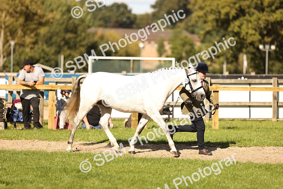SBM_26147 - S5 - Novice & Newcomers In Hand