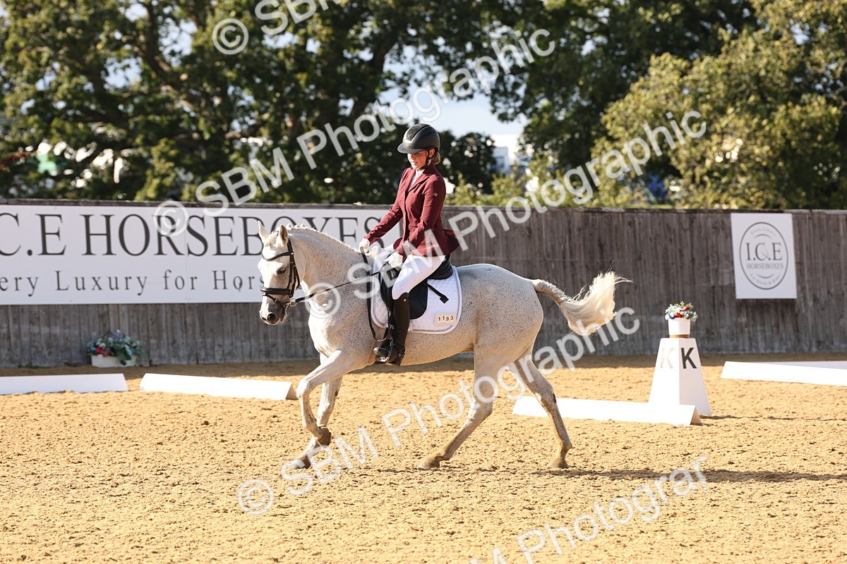 SBM_50472 - D12 - Small Tour Championship prelim 2