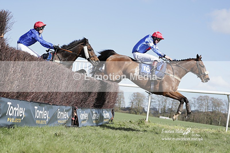PtP 100423 786 - Old Berkshire Point-to-Point Lockinge 10/04/23