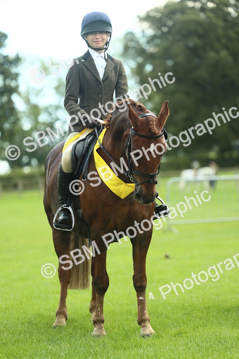 SBM_42196 - S29 - Novice & Newcomers Working Hunter Pony