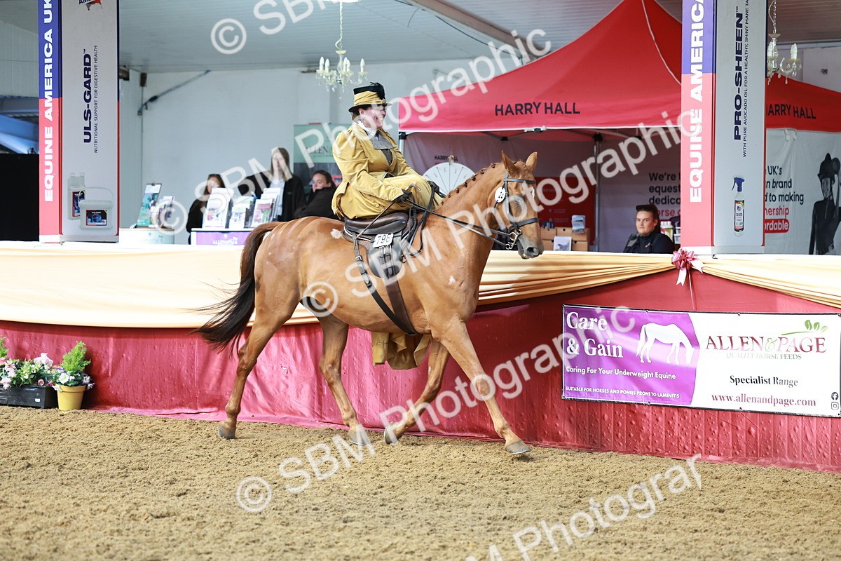 SBM_13545 - Class 105 - Ridden Costume - Side Saddle