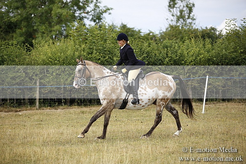 _C7A9534 - BVRC Show 2018 Ring 1