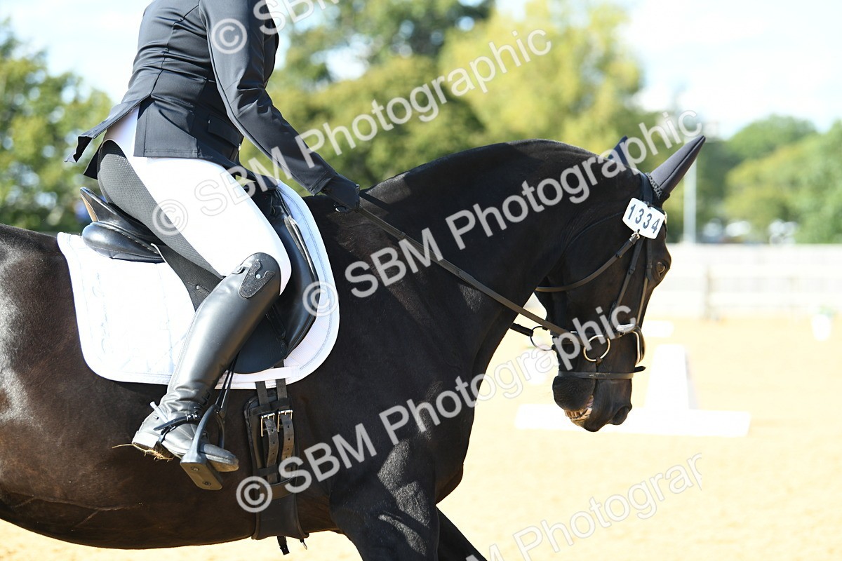 SBM_27161 - D16 - Small Tour Championship - Novice 28