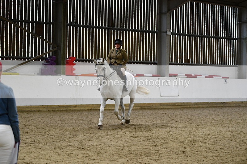 WJ5_9052 - Class 15 Ridden Show Horse