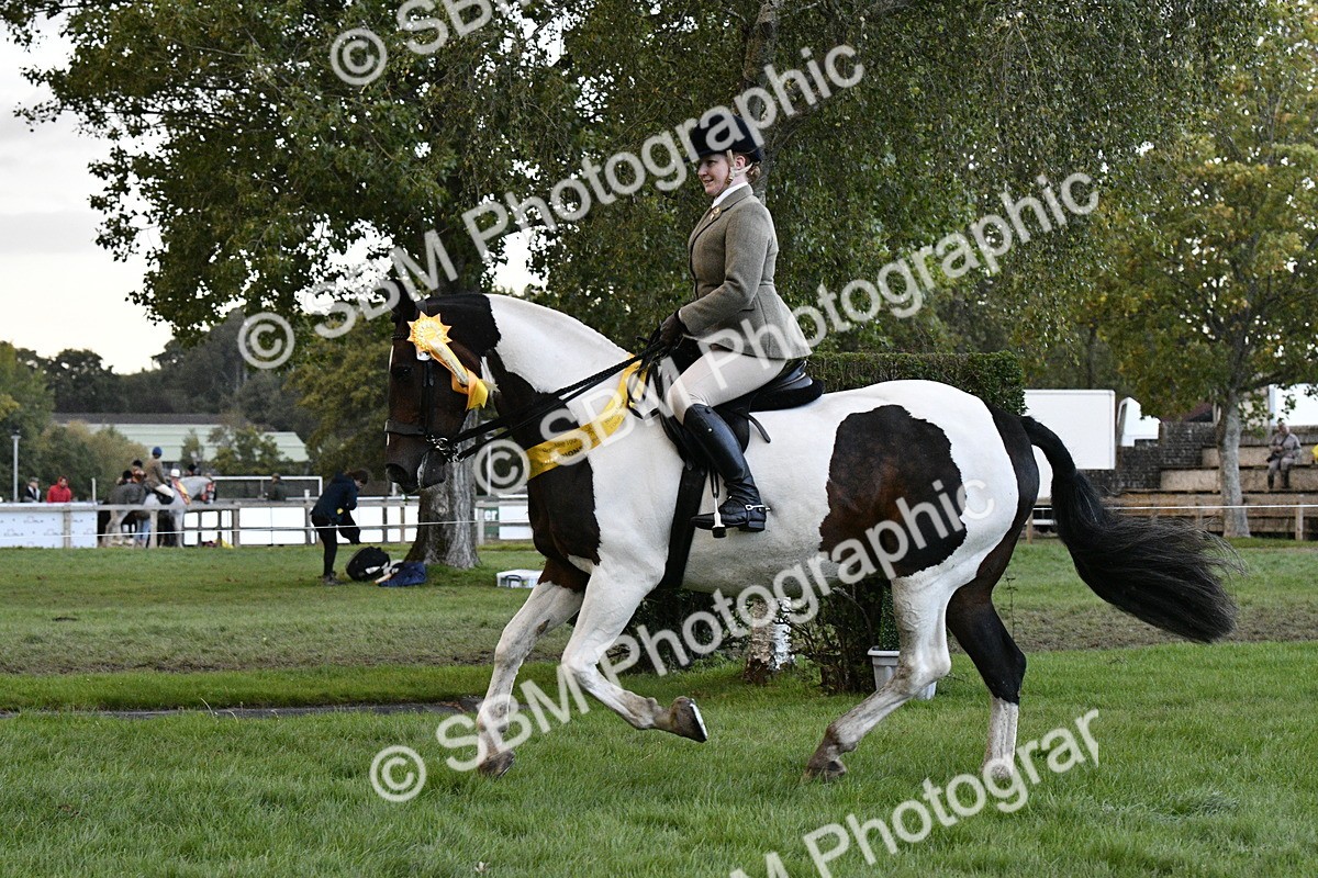SBM_53324 - S14 - Riding Club Horse