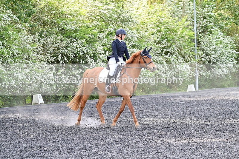 WJ7_7911 - Time 10:11 to 10:27