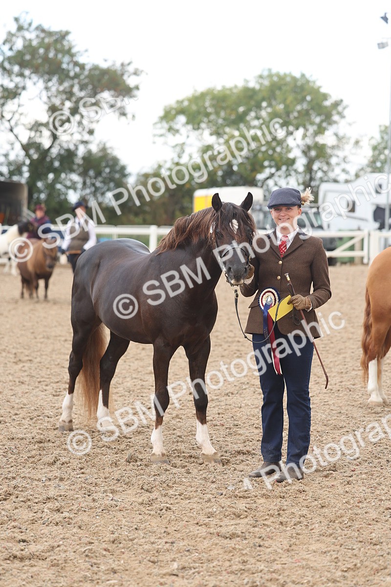 SBM_03302 - Class 16 - IH M&M Wildcard