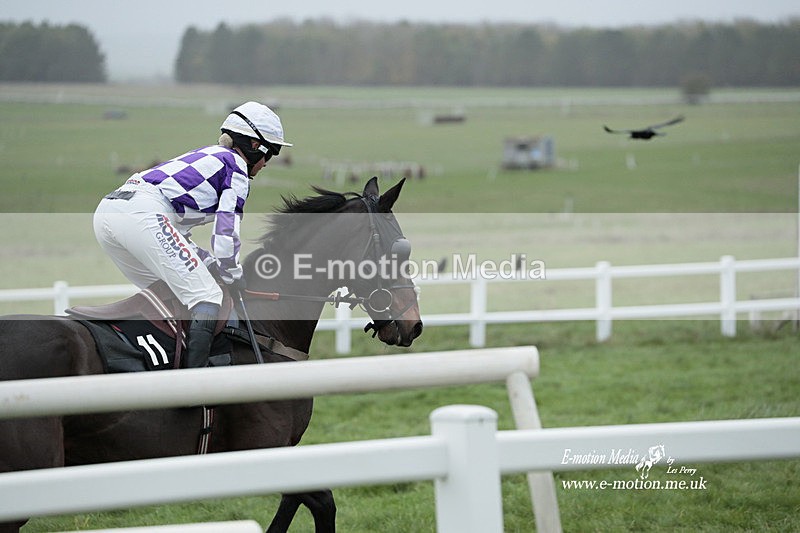 PtP 271122 883 - Hursley Hambledon Hunt Point-to-Point - Larkhill - 27/11/22