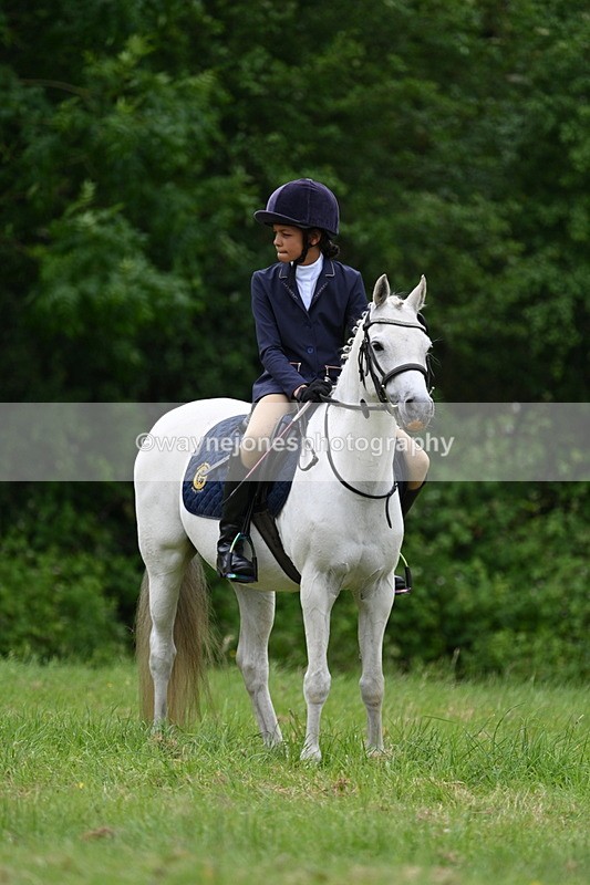 WJ7_3755 - Class 14A Handsome Gelding