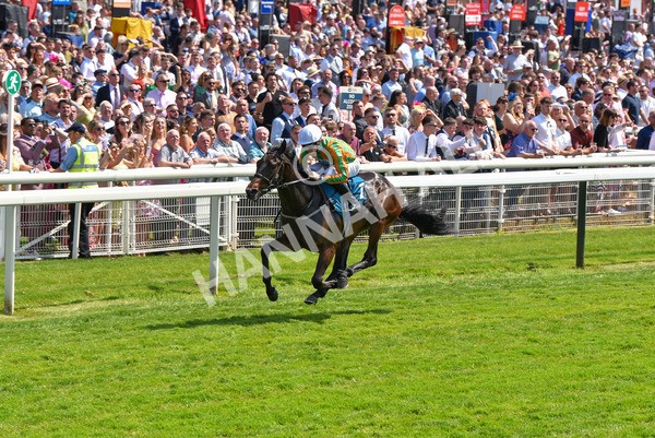 270523-Race 2-Native American-4112 - Race 2 2.10pm Collective Green Energy EBF Restricted Novice Stakes
