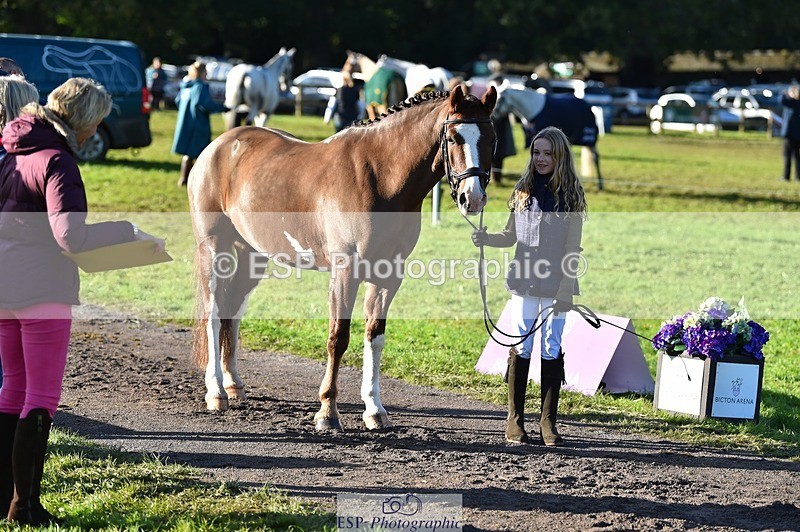 231022-100438-22227 - 432-DALEY-Oona.Gowan-TrotUp+SJ