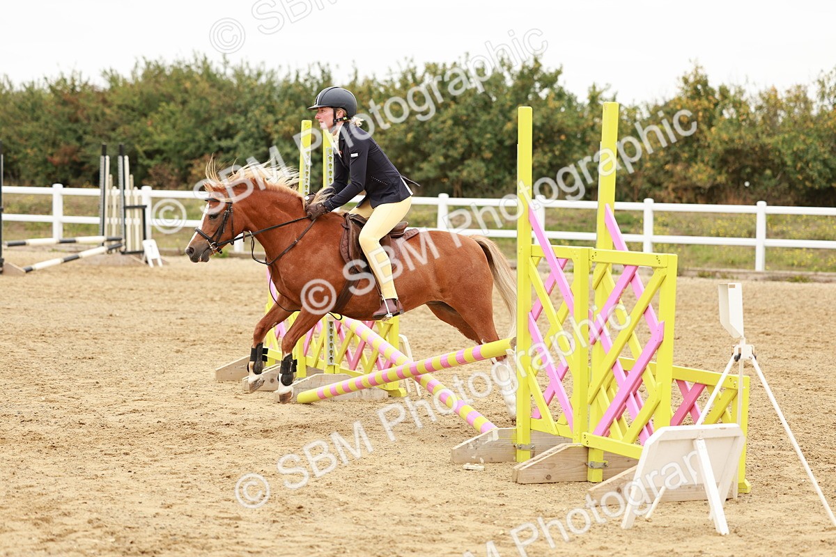 SBM_007463 - Class 2 - 50cm