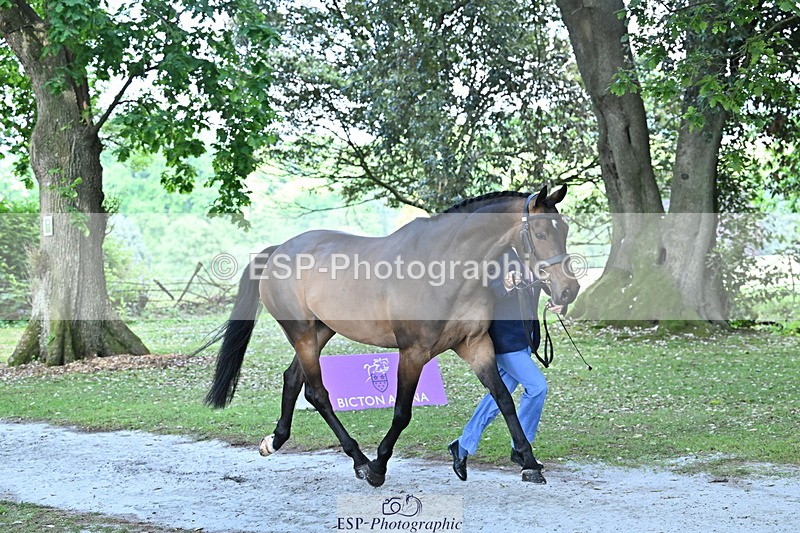 250521A-160808-00930 - C-205-Harry.Meade-IF.IN.DOUBT