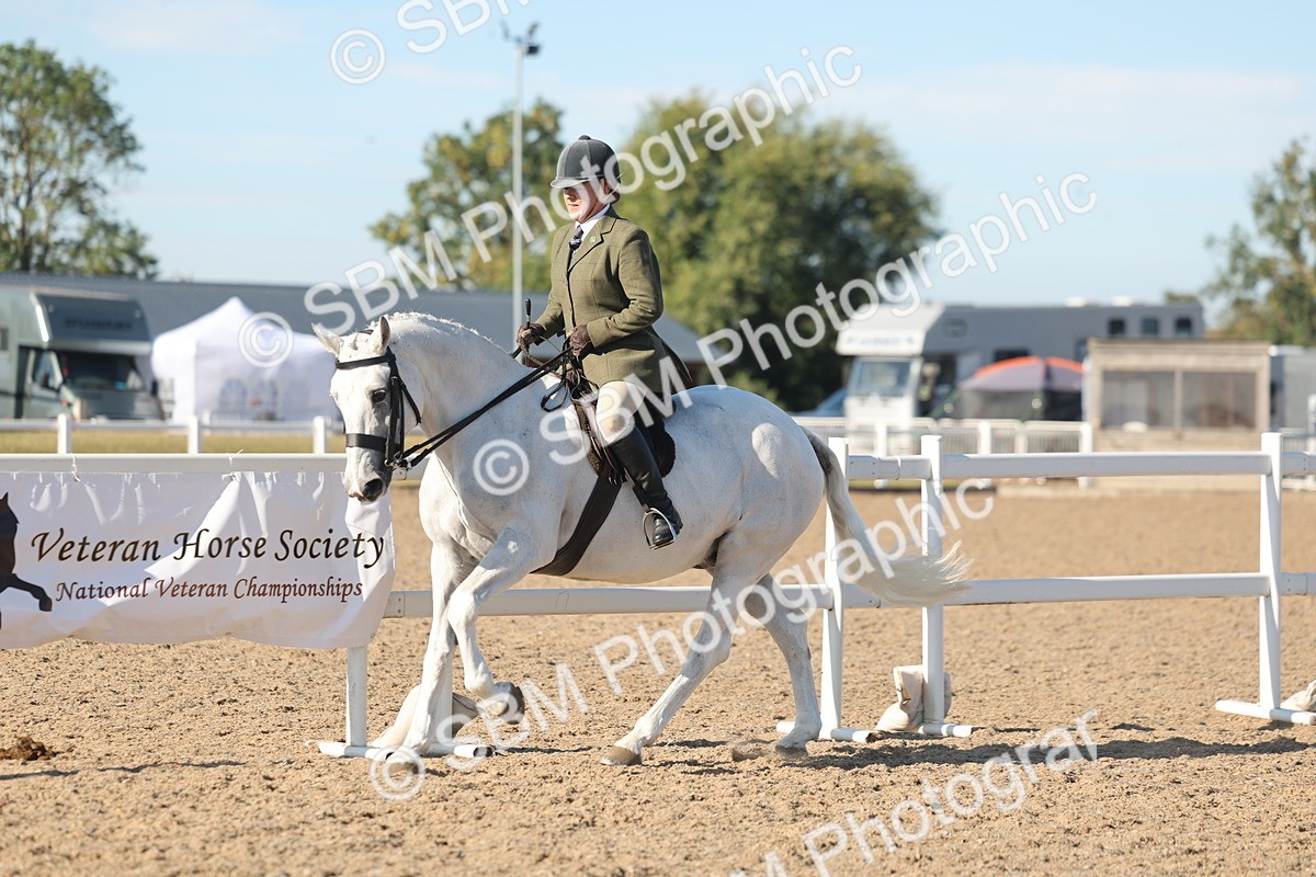 SBM_12187 - Class 303 - Ridden Pure Bred Horse Pony