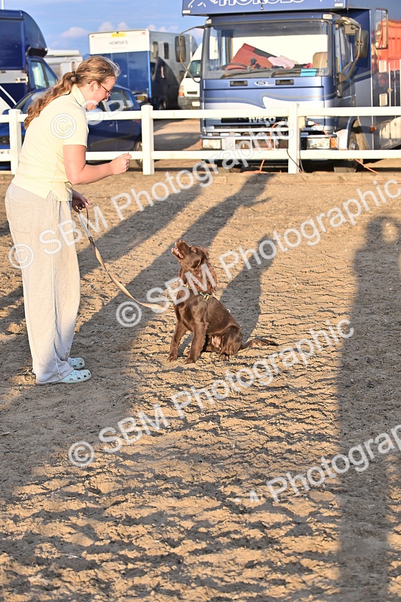 SBM_09670 - Lorry Dogs