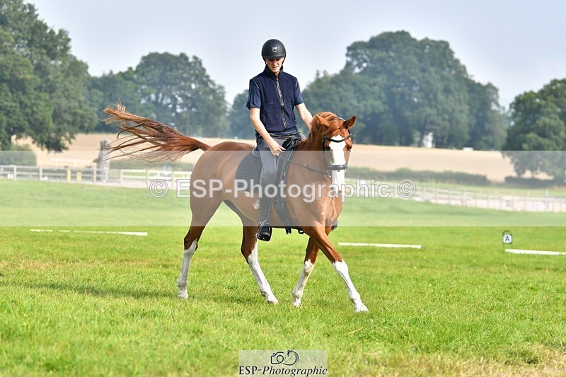 230817-093640-02611 - Abbie's 1st Group - Dressage