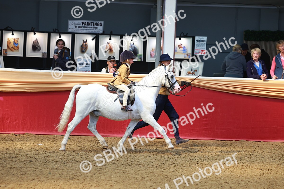 SBM_12746 - HOYS Veteran Qualifier - Ridden Champ