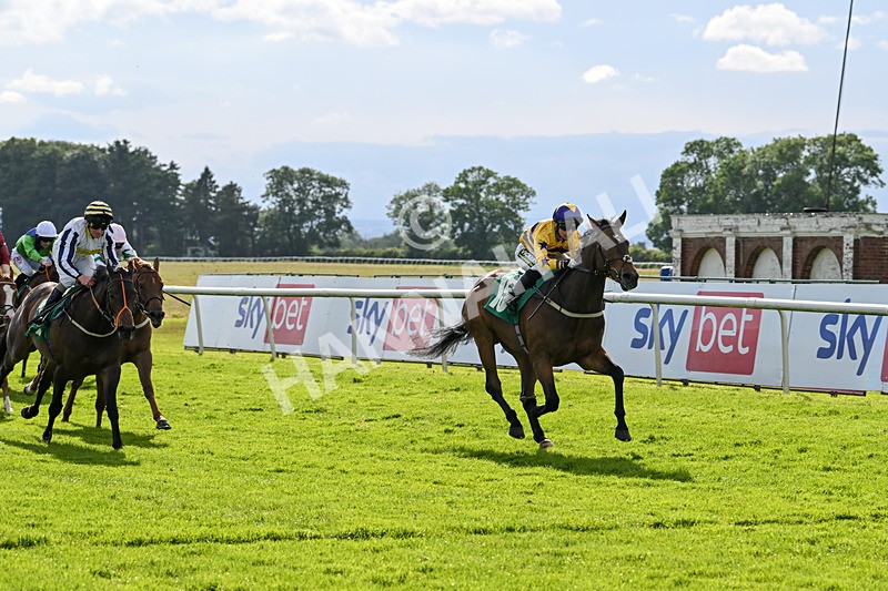 160624-Race 5-American Affair-8969 - Race 5