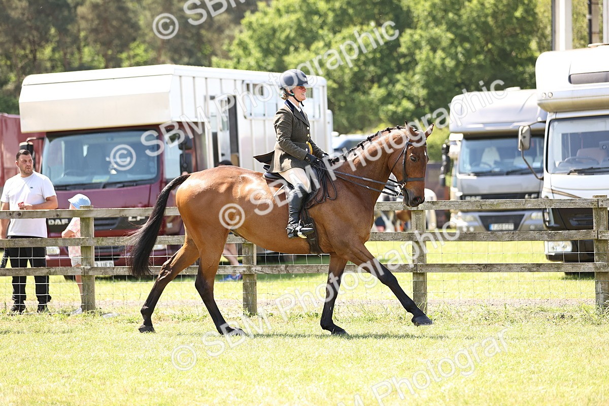 SBM_15005 - Class 78 - LIHS BSHA Open Racehorse & Show Horse