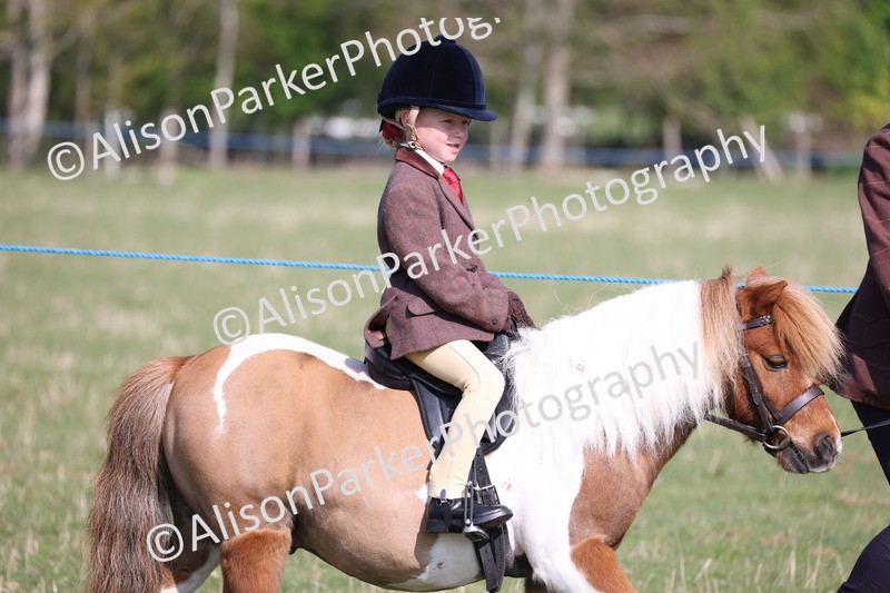 20250427-0080 - Class 30 - Tiny Tots Lead Rein