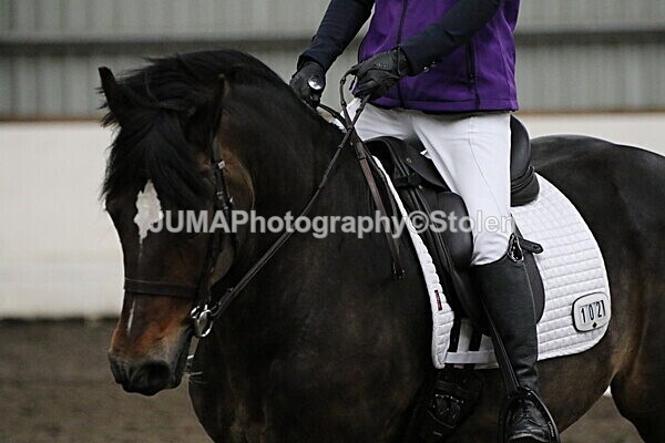 SIAL3777 - CAbin Dressage 5th july 2025