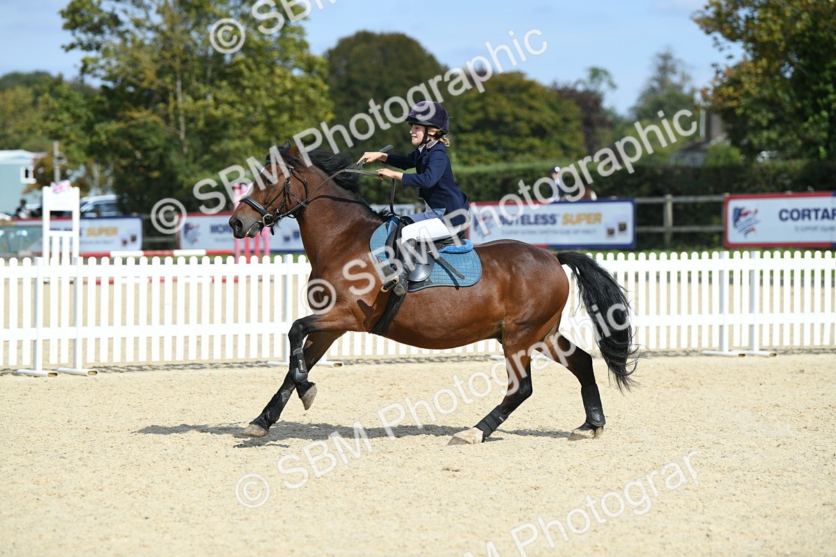 SBM_64933 - J48 - Pairs Jumping Open 70cm & 85cm