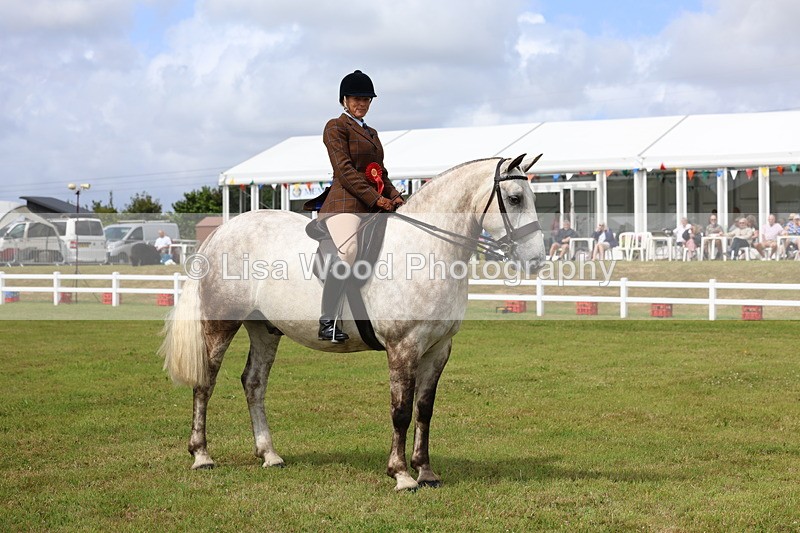 3E7A0412 - Class 6: Rising Star Maxi Cobs