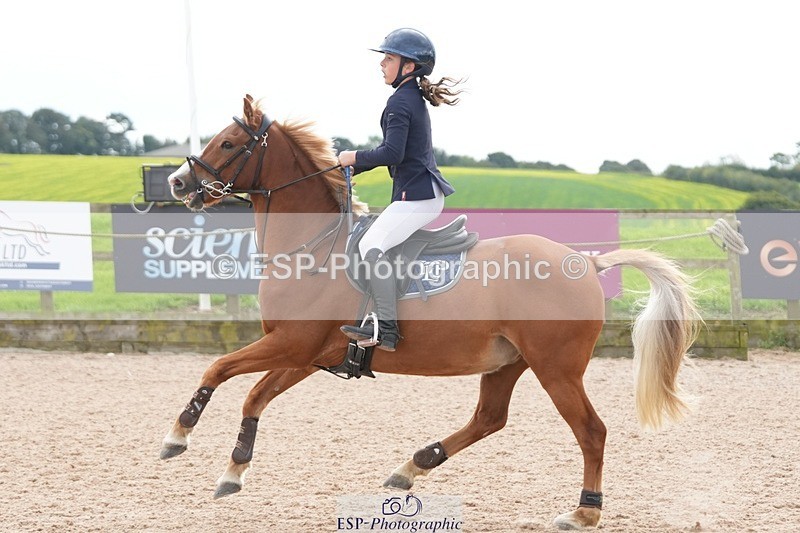 250921-143629-03694 - Cls 20 Pony 80cm Derby