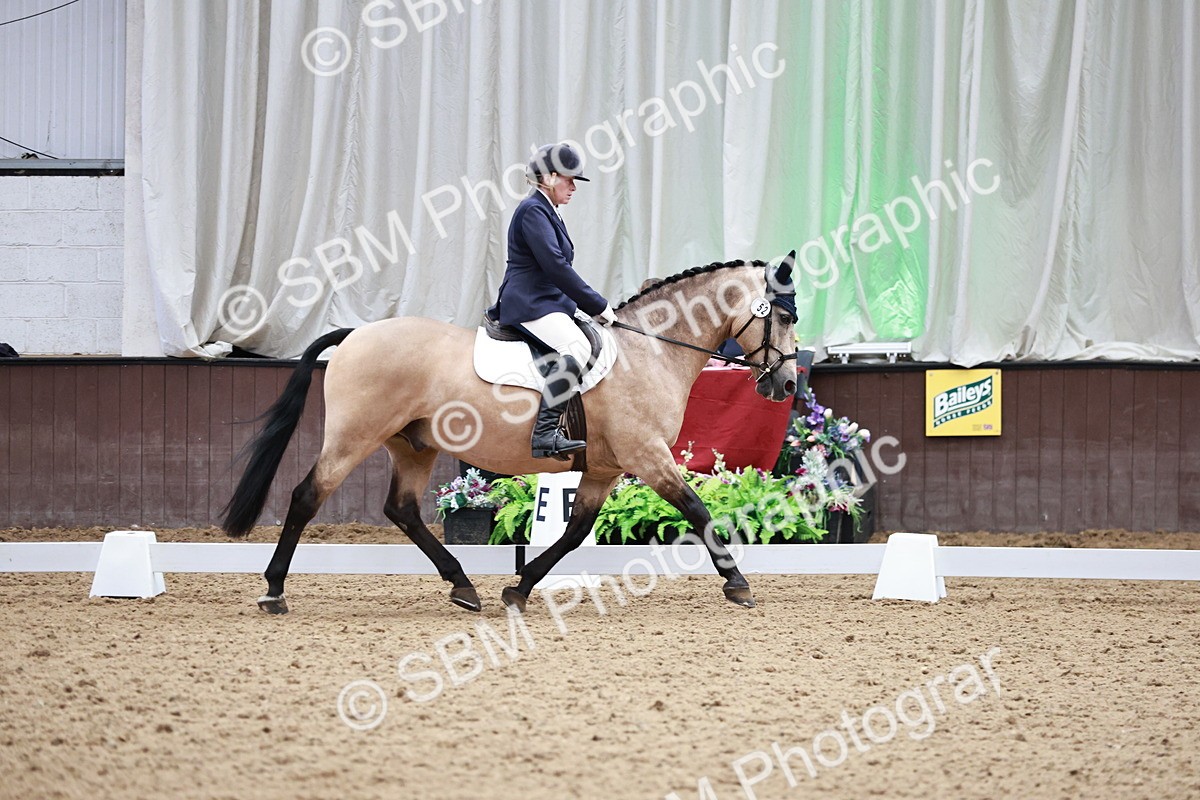 SBM_014168 - Class 7 - Ele FSM Bronze 12.12.13.08