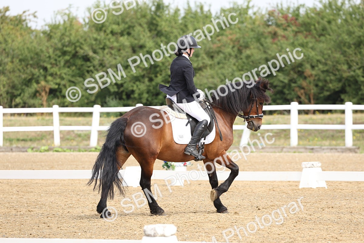 SBM_005848 - Class 6 - Novice 6 - 10.26-11.29