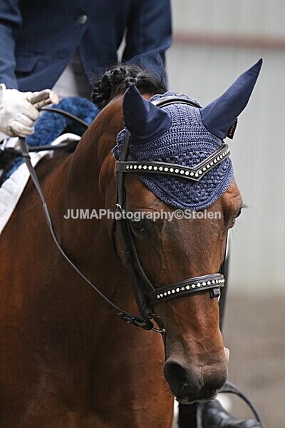 SIAL4960 - CAbin Dressage 5th july 2025