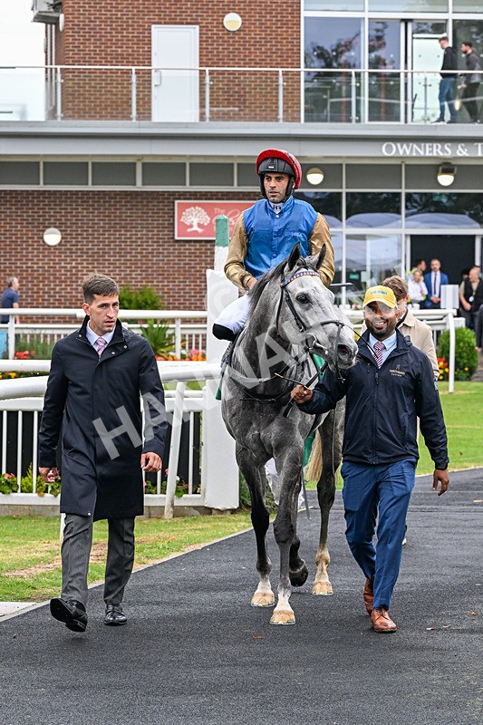 280826-Race 4-Deep Havana-4562 - Race 4 4pm Ivegate Building Handicap