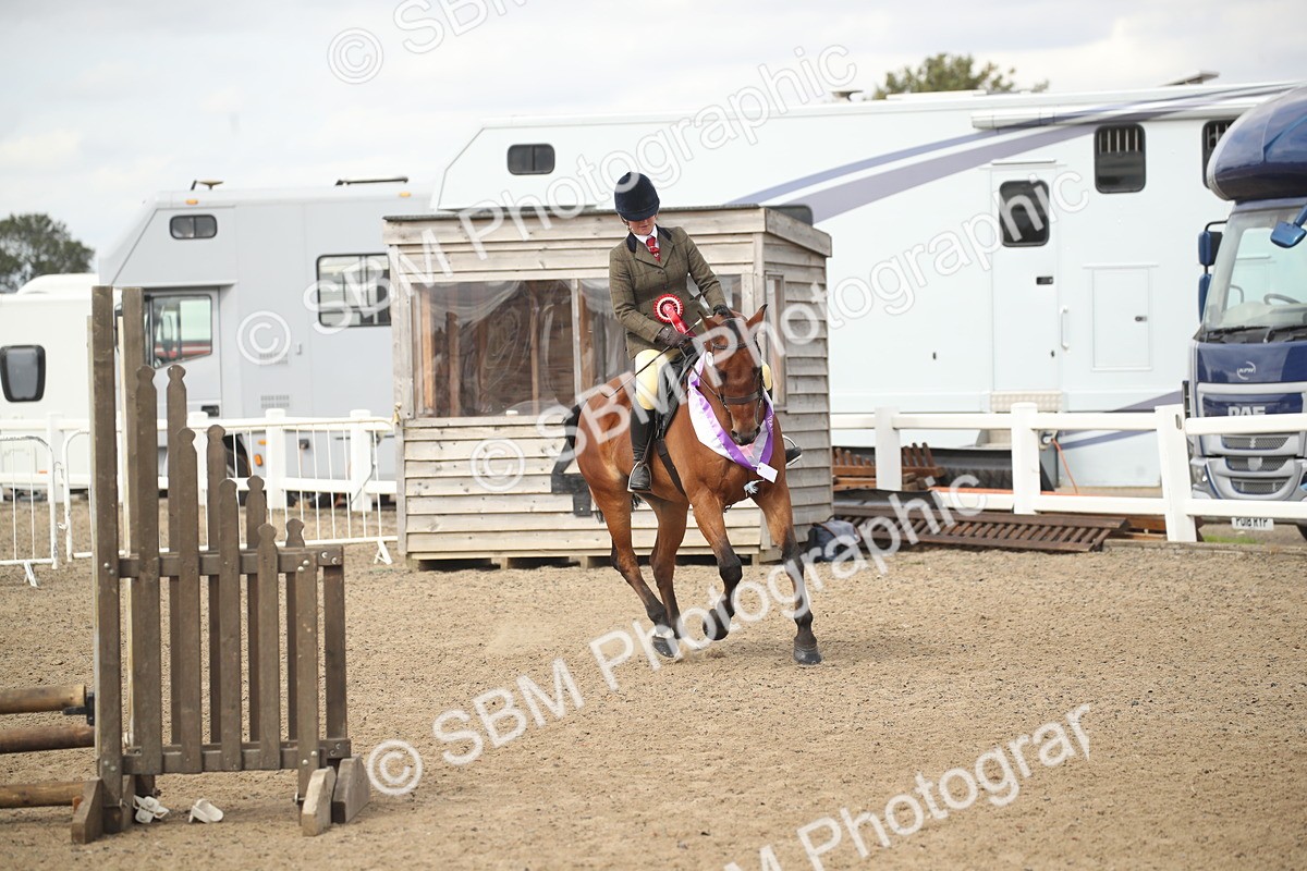 SBM_15254 - Class 506a - Working Veteran - 50cm (15-19)