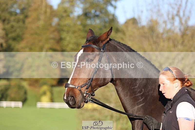 241027-083816-14715 - 323-Nicky.Blastland-FOUNDATIONS.HUSTLER