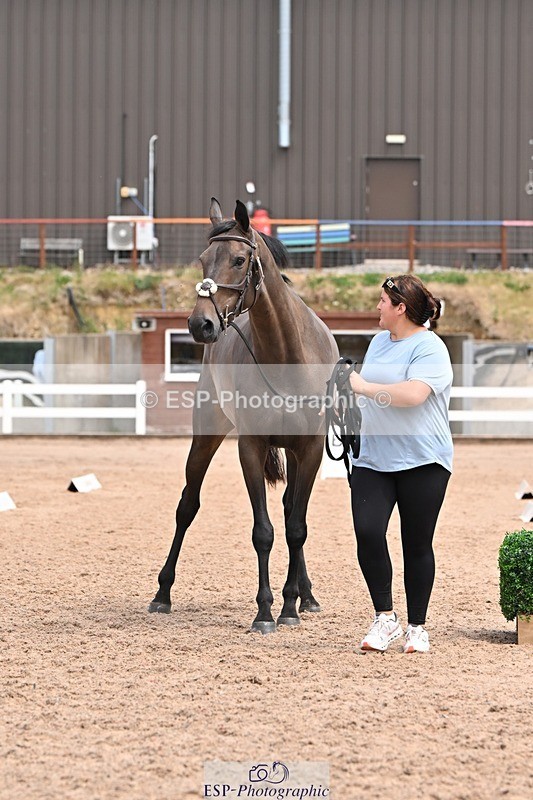 250716-142436-01066 - Trot Up 1.30 to 2.30