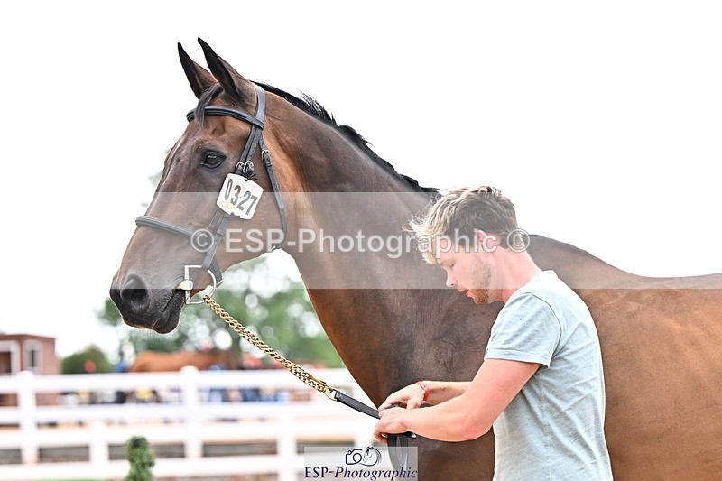 240718A-105326-02015 - Trot Up 2pm to 3pm - This folder is not in time order